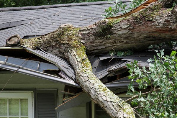 Storm Remediation in Orem