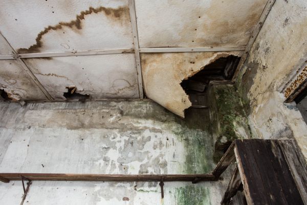 Water Damage Service in Orem