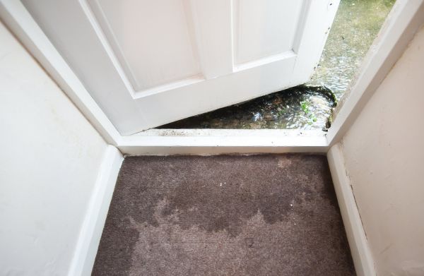 Cost of Wet Carpet Restoration in Orem