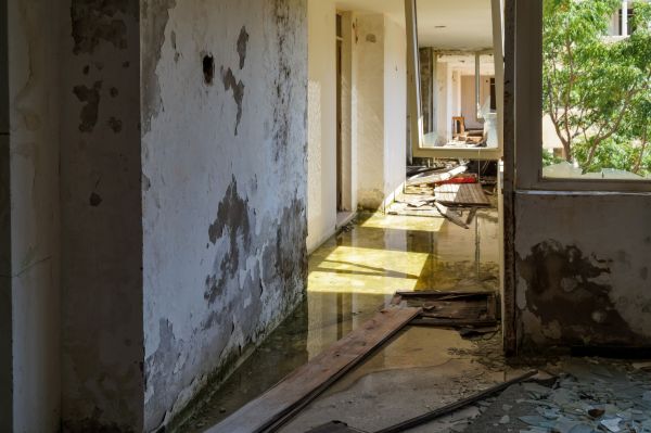 Cost of Water Removal Service in Orem
