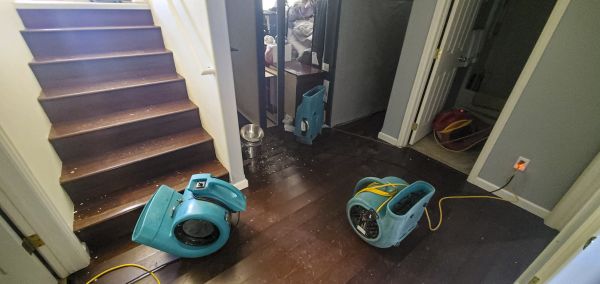 Water Damage Remediation in Orem