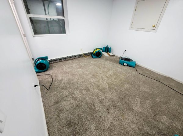 Flood Restoration Service in Orem