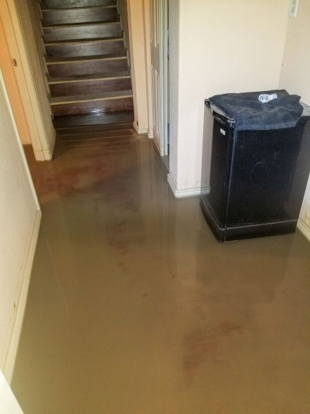 Cost of Emergency Water Removal in Orem