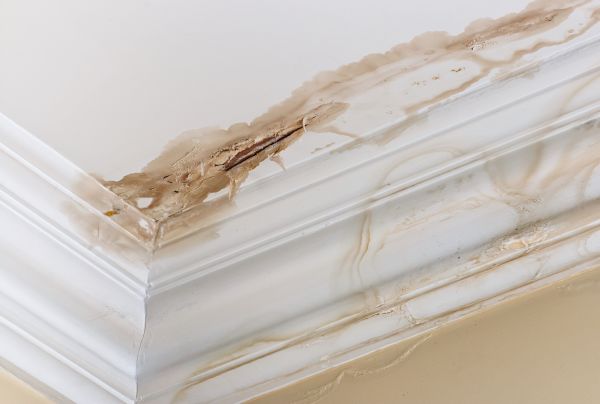 Water Damage Recovery in Orem